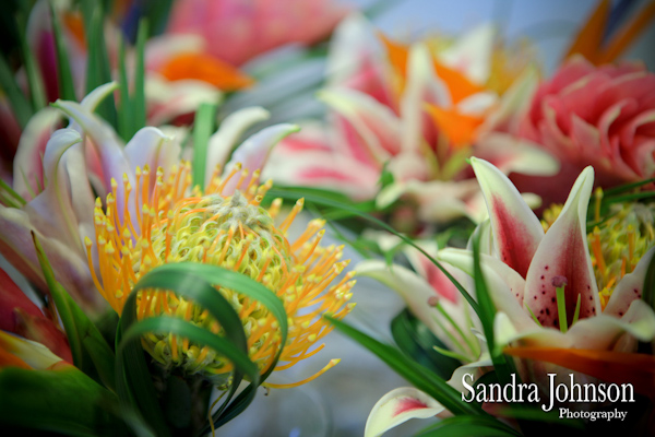 Best Longboat Key Club Wedding photographer - Sandra Johnson (SJFoto.com)